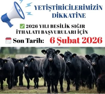 2026 yılı besilik sığır ithalatı başvuruları i&ccedil;in son tarih a&ccedil;ıklandı