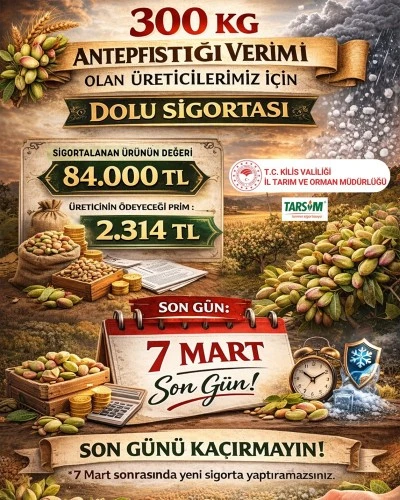 300 kğ verimi olan Antep fıstığı &uuml;reticilerine dolu sigortası uyarısı