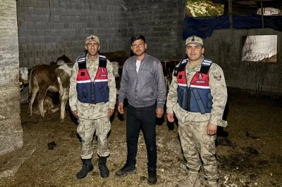 &Ccedil;akallıpınar K&ouml;y&uuml;&rsquo;nde kayıp olan hayvanlar jandarma tarafından bulundu