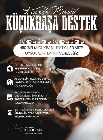 Cumhurbaşkanı Erdoğan&rsquo;dan kırsala b&uuml;y&uuml;k destek! &ldquo;Kırsalda Bereket, K&uuml;&ccedil;&uuml;kbaşa Destek Projesi&rdquo; hayata ge&ccedil;iyor