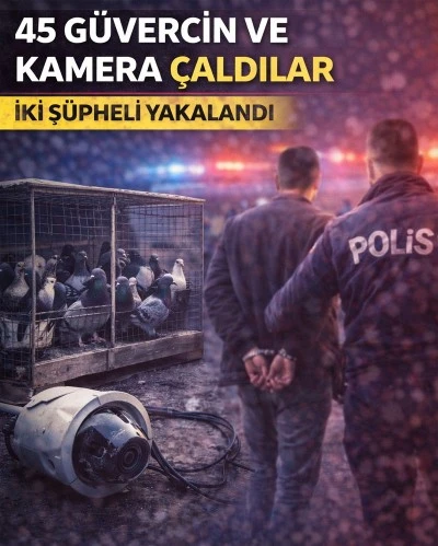 Ekrem &Ccedil;etin Mahallesi&rsquo;ndeki hırsızlık zanlıları adliyeye sevk edildi