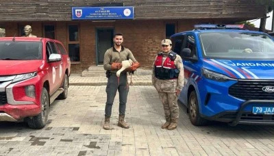 Jandarma&rsquo;dan Kilis&rsquo;te duyarlı bir m&uuml;dahale daha