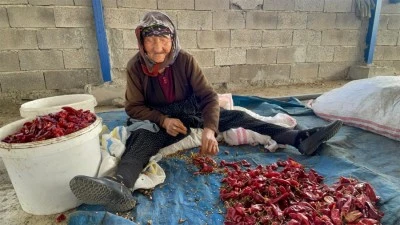Kilis’te çalışma azmiyle örnek olan 90 yaşındaki kadın takdir topluyor