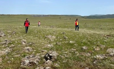 Kilis&rsquo;te &ccedil;ekirge zararlısına karşı m&uuml;cadele s&uuml;r&uuml;yor