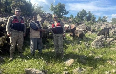 Kilis&rsquo;te Jandarmadan başarılı arama &ccedil;alışması