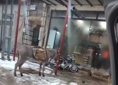 Kilis&rsquo;te Kar Yolları Kapattı, Eşeğiyle Ekmek Almaya Gitti