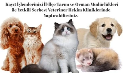 Kilis&rsquo;te Kedi ve K&ouml;pek Sahiplerine &Ouml;nemli Uyarı