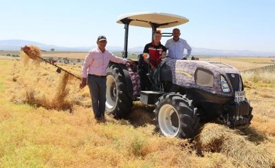 Kilis&rsquo;te sezonun ilk mercimek hasadı yapıldı