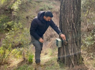 Kilis&rsquo;te yaban hayatı fotokapanlarla izleniyor