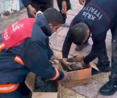 Kilis&rsquo;te yangında mucize kurtuluş! 