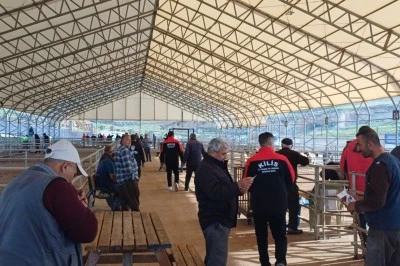 Kurban Bayramı &ouml;ncesi canlı hayvan pazarında sıkı denetim