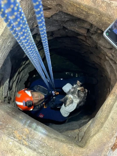 Su Kuyusuna D&uuml;şen Kedi AFAD Ekiplerince Kurtarıldı